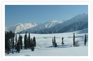 The Heavenly Kashmir
