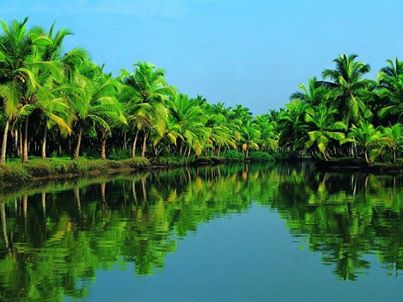 Exotic Kerala